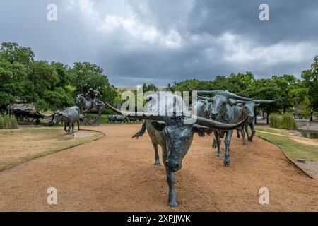 Longhorn-Skulptur in Dallas Stockfoto