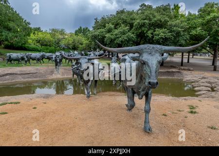 Longhorn-Skulptur in Dallas Stockfoto