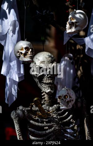 Halloween Gruselskelette. Halloween Kürbis und Skelett für dekoriertes Haus. Gruselig dekoriert am Vorhof eines amerikanischen Hauses. Trick or Treat. Hallo Stockfoto