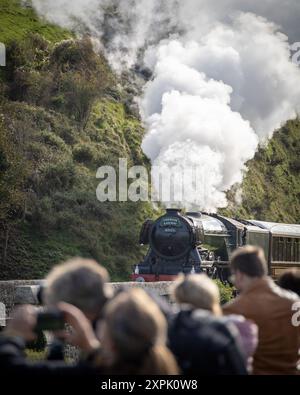Fliegende Schotte in Corfe Stockfoto