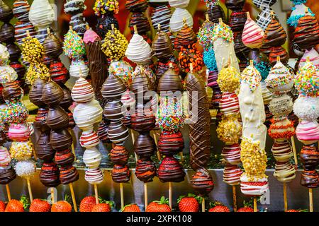 Bunte Schokoladenspieße mit frischen Erdbeerspieße, Erdbeerspieße mit geschmolzener Schokolade, in Schokolade getauchte Erdbeeren Stockfoto