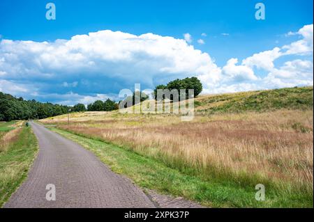 Asphaltstraße durch die Wiesen um Geeste-Dalum, Niedersachsen Stockfoto