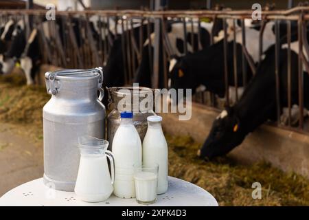 Milch, Milchprodukte auf dem Tisch im Kuhstall Stockfoto