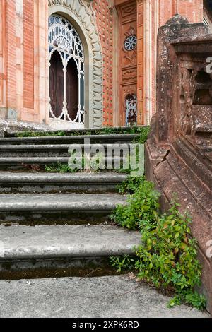 Schloss von Sammezzano, Toskana, Italien. Treppenhaus mit ausbreitender Pellitorie (Parietaria judaica), Urticaceae. Stockfoto