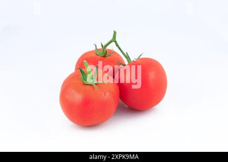 Frische Tomaten/Paradeiser mit Wassertröpfchen, isoliert auf weißem Hintergrund. Stockfoto