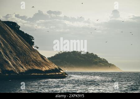 Eine Tele-Szene an der Küste mit dem felsigen Ufer von Ilha de Cagarras mit üppigem Grün. Das Bild zeigt eine ruhige Meereslandschaft mit weit entfernten Hügeln Stockfoto