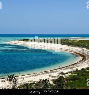 Strand in Dry Tortugas, Florida Stockfoto