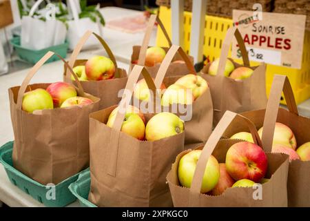 Eine Auswahl grüner und roter Äpfel in braunen Beuteln Stockfoto