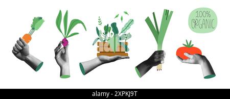Bauernproduktion von Landarbeitern mit menschlichen Händen in Retro-Collage-Mischmedienvektor-Illustration Set. Bio-Gemüse im modernen fla Stock Vektor