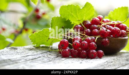 Frische rote Johannisbeeren in einer Holzschale auf einer rustikalen Holzoberfläche mit natürlichem grünem Hintergrund, die an Natur und Frische erinnert. Stockfoto