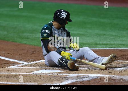 Mexiko-Stadt, Mexiko. August 2024. Stankiewicz #17 von Pericos de Puebla fällt zu Boden, nachdem er während des Spiels 2 zwischen Pericos de Puebla und Diablos Rojos del México im Rahmen der Playoffs der mexikanischen Baseball League (LMB) 2024 von einem Foul-Ball getroffen wurde. durch Regen im 8. Inning mit Teilpunktzahl 3-2 Diablos Rojos über Pericos, führte Diablos in der Serie 1-0 im Alfredo Harp Helú Stadion an. Am 5. August 2024 in Mexiko-Stadt. (Foto: Carlos Santiago/Eyepix Group/SIPA USA) Credit: SIPA USA/Alamy Live News Stockfoto