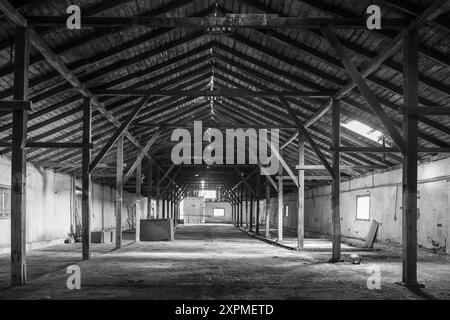 Holzbalken im alten Fabrikgebäude. Innenraum einer verlassenen Fischfabrik mit Holzdecke. Stockfoto