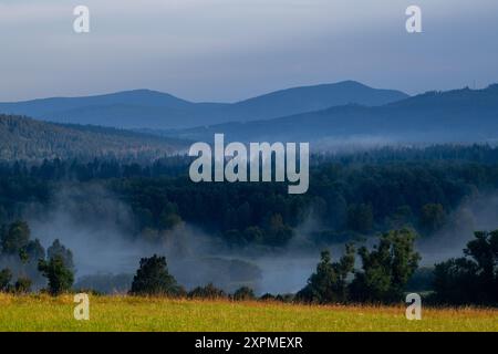 Zelnava, Tschechische Republik. August 2024. Morgennebel über dem Moldau-Tal in der Nähe von Zelnava in Prachatice, Nationalpark Sumava, 7. August 2024. Die Temperaturen lagen in Sumava am Morgen bei etwa 10 Grad. Quelle: Vaclav Pancer/CTK Photo/Alamy Live News Stockfoto