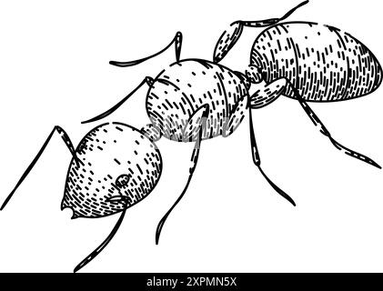 Soldat Ameise skizziert handgezeichneter Vektor Stock Vektor