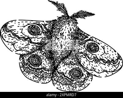 Antennen Nachtmotten skizzieren handgezeichneter Vektor Stock Vektor