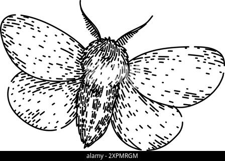 lepidoptera Nachtmotte Skizze Hand gezeichneter Vektor Stock Vektor