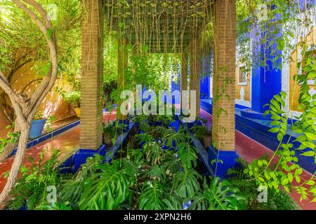 Wasserteich unter einer Pergola, die von üppiger Vegetation eingedrungen ist. Stockfoto