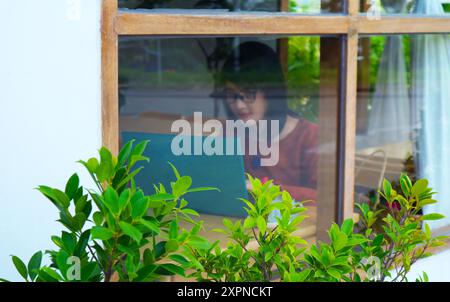 Großaufnahme von Windowside's Zierpflanzen mit verschwommener Frau, die im Raum am PC arbeitet Stockfoto