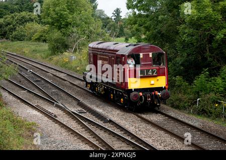 Diesellokomotive der Klasse 20 Nr. 20142 „Sir John Betjeman“ in London Transport Lackierung, Hatton Bank, Warwickshire, Großbritannien Stockfoto