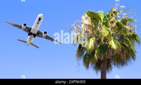 Streik- oder Arbeitsverlangsamung in der Luftfahrtindustrie. Konzept für Flugverzögerungen. Palme und Passagierflugzeug im blauen Himmel. Horizontales Foto. Keine Personen. Stockfoto