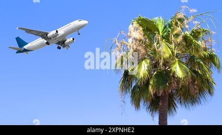 Konzept der Luftfahrtidee. Palme und fliegendes Passagierflugzeug auf blauem Himmel Hintergrund. Starten. Urlaub und internationale Reisen. Im Ausland. Horizontal. Stockfoto