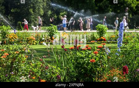 Potsdam, Deutschland. August 2024. Bei sommerlichem Wetter und hohen Temperaturen werden die bunten Blumenbeete im Sanssouci Park auch mit Sprinklern bewässert. Quelle: Jens Kalaene/dpa/ZB/dpa/Alamy Live News Stockfoto