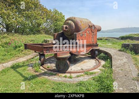 Historische Kanonen auf Drake’s Island südlich von Plymouth im Plymouth Sound. Gekauft 2019 vom Geschäftsmann Morgan Phillips. Planung für Heritage Centr Stockfoto