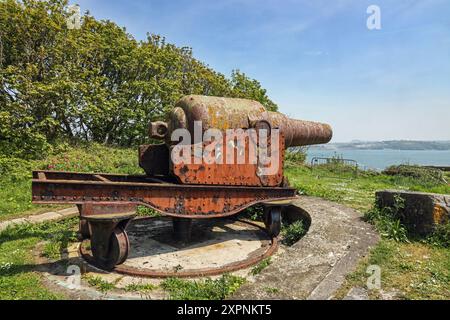 Historische Kanonen auf Drake’s Island südlich von Plymouth im Plymouth Sound. Gekauft 2019 vom Geschäftsmann Morgan Phillips. Planung für Heritage Centr Stockfoto