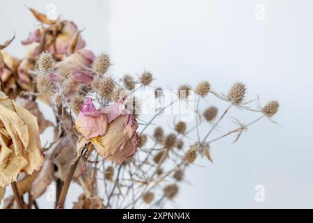 Bouquet von getrockneten Rosen und eryngium Stockfoto