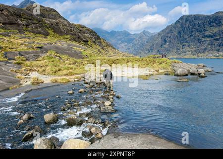 Walker überquert die Trittsteine über den Scavaig River in der Nähe des Ausgangs Loch Coruisk auf der Isle of Skye, Schottland, Großbritannien. Die Cuillin Berge dahinter Stockfoto