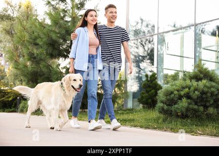 Glückliches Paar, das draußen mit dem niedlichen Golden Retriever Hund spaziert, Blick aus einem niedrigen Winkel Stockfoto