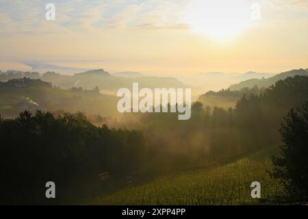 Weinberge der südsteiermark im frühen Morgennebel mit Sonnenschein Stockfoto