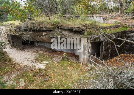 Alte Küste Batareya Raul im Nationalpark Kurische Nehrung. Morskoe. Region Kaliningrad. Russland Stockfoto