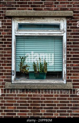 Details zum Fruitwarf Docks & Warehouse die 1950er Jahre bauen das Fruit Warf Dock & Warehouse im Merwe Harbour. Rotterdam, Niederlande. Rotterdam Merwehaven Fruitswarf Zuid-Holland Nederland Copyright: XGuidoxKoppesxPhotox Stockfoto