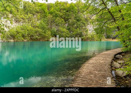 Pfad auf Holzstegen im Nationalpark Plitvicer Seen, Kroatien, Europa Stockfoto