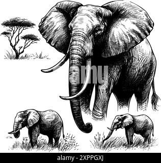 Eine schwarz-weiße Zeichnung eines Elefanten und zweier Elefantenbabys. Der Elefant ist der größte und steht im Vordergrund. Die Zeichnung vermittelt ein Gefühl der Familie Stock Vektor