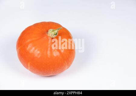 Hokkaido Kürbis auf weißem Hintergrund, Raum für Text, Kopierraum Stockfoto