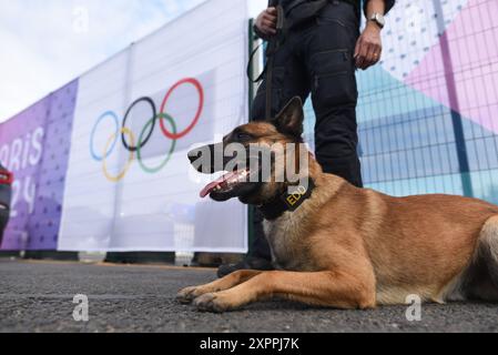 *** KEINE VERKÄUFE AN FRANZÖSISCHE MEDIEN ODER VERLAGE - RECHTE VORBEHALTEN ***25. Juli 2024 - Paris, Frankreich: Schwedischer Polizeihund Max, ein 3-Jähriger belgischer Malinois, der in der Detektion von Sprengstoffen ausgebildet ist, während einer Pause. Ein schwedisches Sprengstoffdetektierungsteam ist einen Tag vor der Eröffnungszeremonie in der Invalidenzone, einem der wichtigsten Orte der Olympischen Spiele, stationiert. Stockfoto