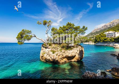 Kamen Brela Symbol der Stadt Brela an der Adriaküste Dalmatiens, Kroatien. Kam Brela, kleine berühmte Insel in Brela, Makarska Riviera, Dalmatien, Stockfoto