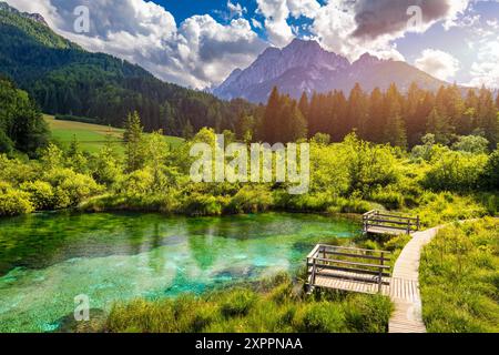 Wunderbarer Blick auf das Naturschutzgebiet Zelenci in Slowenien. Naturschutzgebiet Zelenci, Krajnska Gora, Slowenien, Europa. See und Wald in Zelenci Springs, Kra Stockfoto