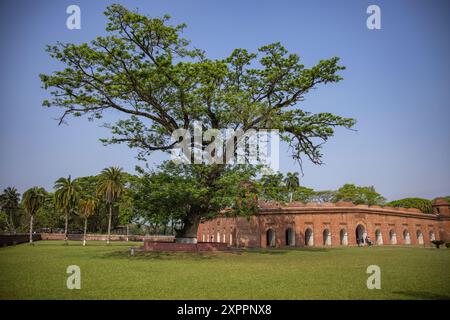 60 Kuppelmoschee und Riesenbaum im Park, Bagerhat, Bagerhat District, Bangladesch, Asien Stockfoto