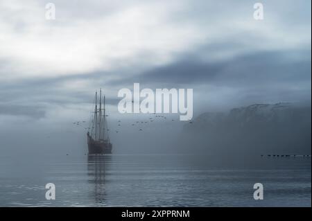 Die Rembrandt van Rijn ankert in der Nähe des Alkefjellet in der Hinlopenstraße, Bebelstimmung, dickschnullige Guillemots umgeben das Schiff, Spitzbergen, SVA Stockfoto