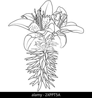 Elegante Sterngazer orientalische Lilienblume, Vektor isolierte Illustration. Umriss Lilium Star Gazer Malbuch Seite. Stock Vektor