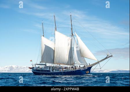 Rembrandt van Rijn Segeln in arktischen Gewässern, Isfjord, Spitzbergen, Svalbard, Norwegen, Arktis Stockfoto