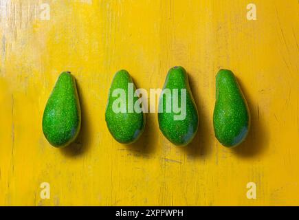 Vier grüne Avocados sind ordentlich in einer Reihe auf einer leuchtend gelben Holzoberfläche angeordnet Stockfoto