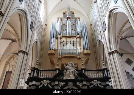 Die Kathedrale St. Salvator, auch bekannt als Kathedrale des Heilands und St. Donat, ist die römisch-katholische Kathedrale von Brügge, Belgien und beherbergt die Brügge Orgel Stockfoto