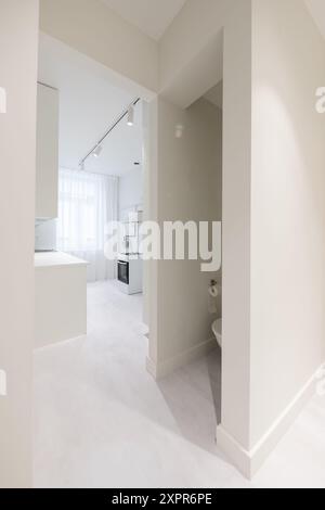 Skandinavischer Stil Gemütlich Modern Offen Hell Minimalismus Küche Home Interior. Gasofen, Wasserhahn und Möbel im Hintergrund. Weiße Schränke, LED-Leuchten Stockfoto