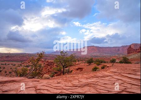 Blick vom Panorama Point, Capitol Reef National Park, Utah, USA, USA Stockfoto