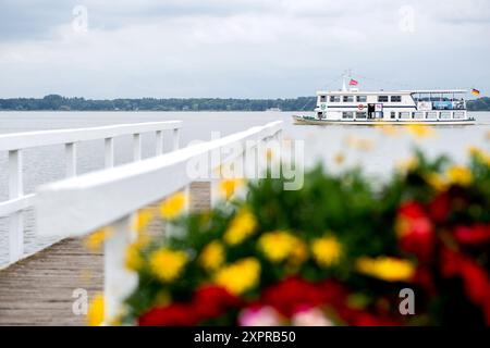 Bad Zwischenahn, Deutschland. August 2024. Das Ausflugsboot 'Ammerland' fährt bei bewölktem Wetter auf dem Zwischenahner Meer. Die Reederei Herbert Ekkenga AG betreibt seit 1987 eine Flotte von Fahrgastschiffen auf dem Zwischenahner Meer. Quelle: Hauke-Christian Dittrich/dpa/Alamy Live News Stockfoto