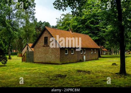 Eine wunderbare Wanderung durch die einzigartige und farbenfrohe Landschaft der Osterheide - Bispingen - Niedersachsen - Deutschland Stockfoto